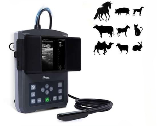 Escáner de ultrasonido veterinario digital BW590V para equinos, bovinos, ganado vacuno, llamas, ovejas, cabras, cerdos y mascotas.